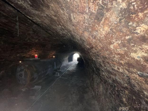 Prodej vinného sklepa, Valtice, 60 m2