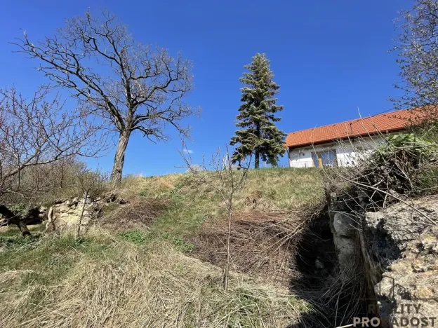 Prodej vinného sklepa, Valtice, 60 m2