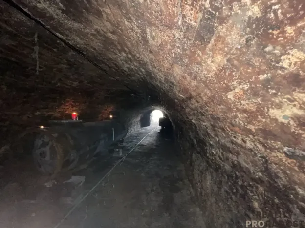 Prodej vinného sklepa, Valtice, 60 m2