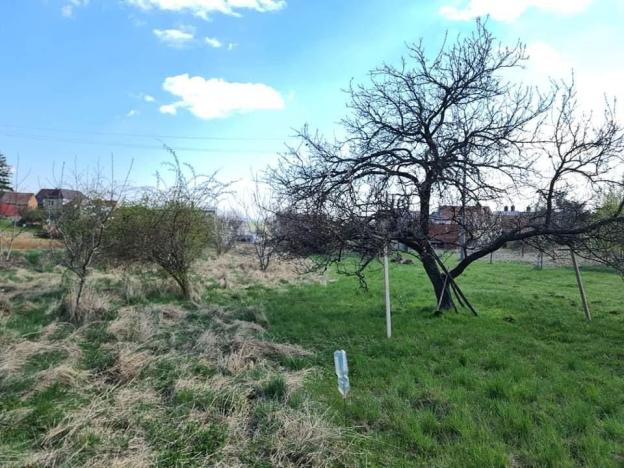 Prodej pozemku pro bydlení, Žeravice, 2754 m2