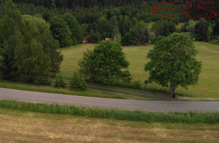 Prodej pozemku pro bydlení, Slaná - Hořensko, 2968 m2