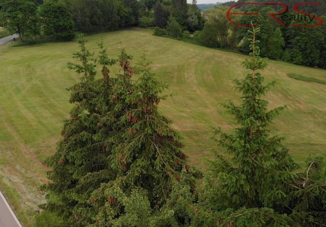 Prodej pozemku pro bydlení, Slaná - Hořensko, 2968 m2