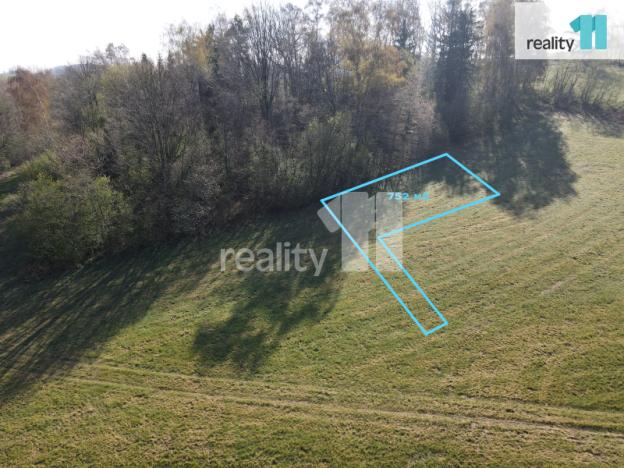 Prodej trvalého travního porostu, Boňkov, 728 m2