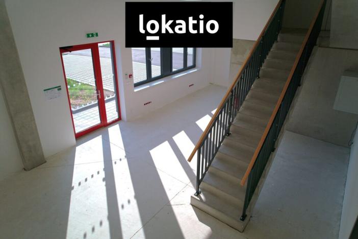 Pronájem výrobních prostor, Mikulov, 13200 m2