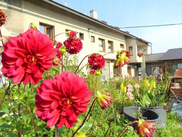 Pronájem bytu 1+kk, Bakov nad Jizerou - Chudoplesy, 15 m2