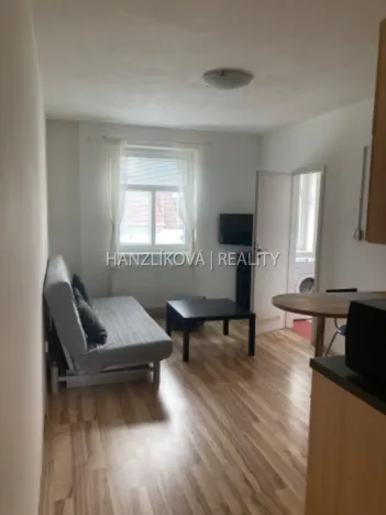 Pronájem bytu 1+kk, České Budějovice - České Budějovice 3, Lipenská, 21 m2