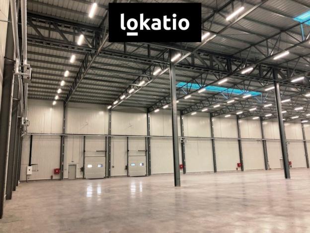 Pronájem skladu, Bílina, 3504 m2