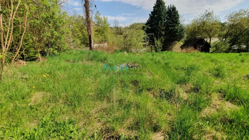 Prodej zahrady, Kosov, 1714 m2