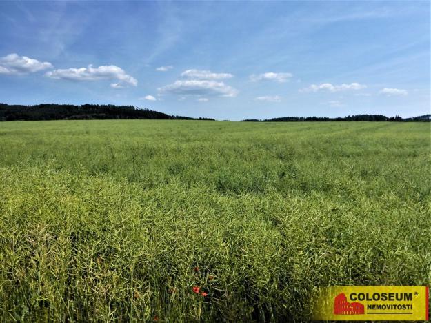 Prodej zemědělské půdy, Letovice, 7225 m2
