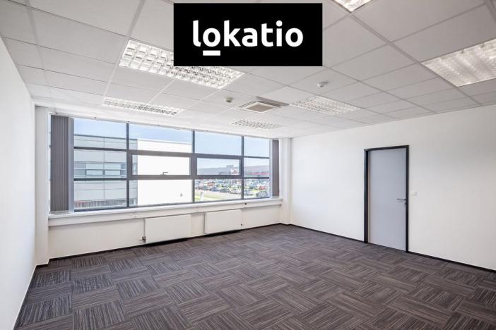 Pronájem skladu, Žatec, 47560 m2