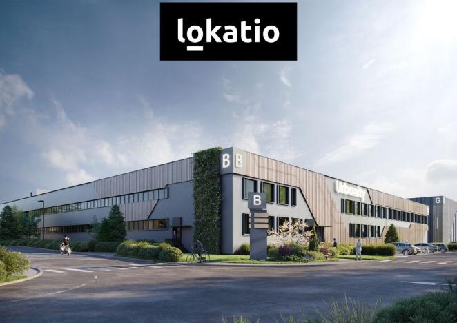 Pronájem skladu, Tachov, Oldřichovská, 16500 m2