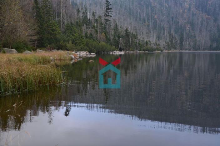 Prodej bytu 3+1, Nová Pec - Nové Chalupy, 76 m2