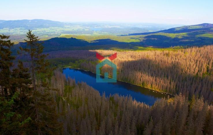 Prodej bytu 3+1, Nová Pec - Nové Chalupy, 76 m2