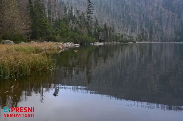 Prodej bytu 3+1, Nová Pec - Nové Chalupy, 76 m2