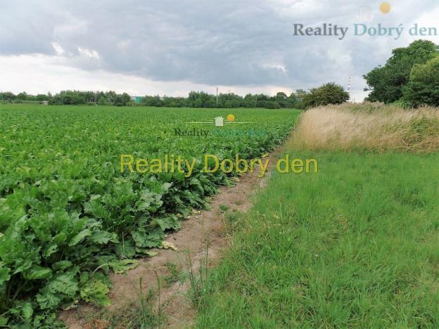 Prodej pozemku pro bydlení, Opava, Na Dolní hrázi, 1129 m2