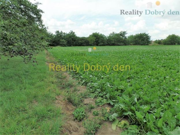 Prodej pozemku pro bydlení, Opava, Na Dolní hrázi, 1129 m2