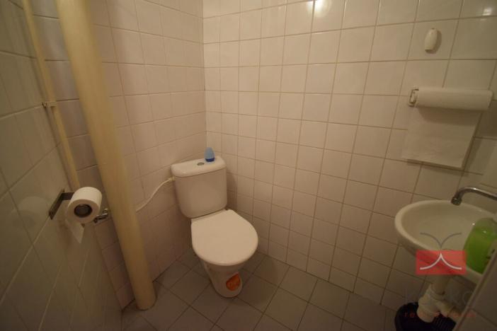 Prodej komerční nemovitosti, Ledeč nad Sázavou, Mlýnská, 310 m2