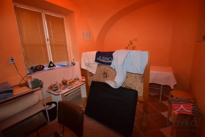 Prodej komerční nemovitosti, Ledeč nad Sázavou, Mlýnská, 310 m2