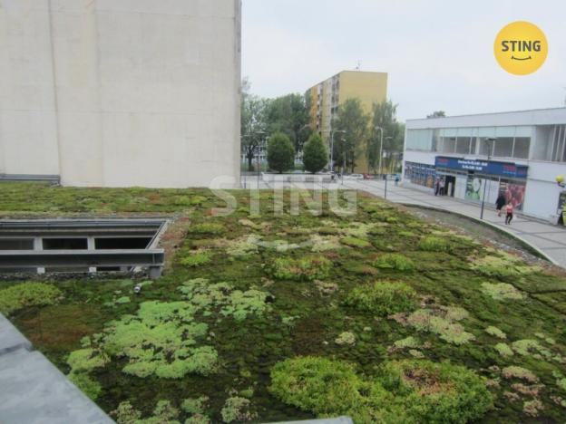 Pronájem obchodního prostoru, Karviná, tř. Těreškovové, 78 m2