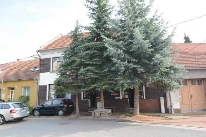 Prodej rodinného domu, Rousínov, U kapličky, 245 m2