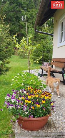 Prodej rodinného domu, Valy, Na Stráni, 170 m2