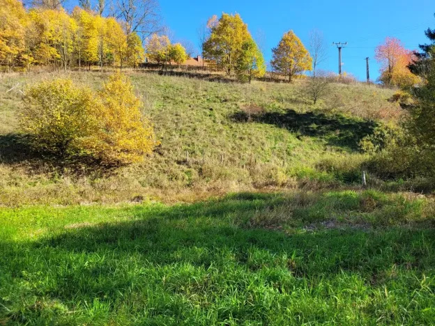 Prodej pozemku pro bydlení, Heřmánkovice, 4996 m2