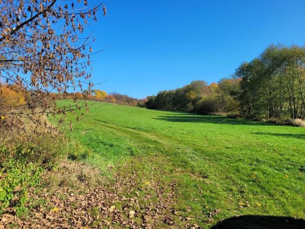 Prodej louky, Broumov, 52559 m2