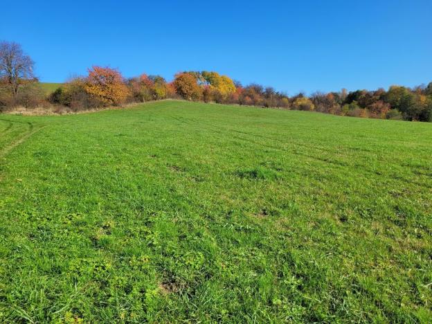 Prodej louky, Broumov, 52559 m2