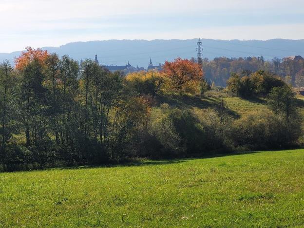 Prodej louky, Broumov, 52559 m2