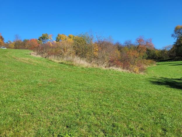 Prodej louky, Broumov, 52559 m2