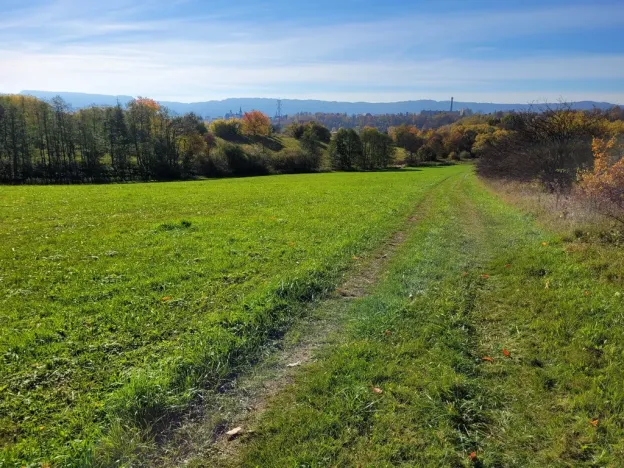Prodej louky, Broumov, 52559 m2