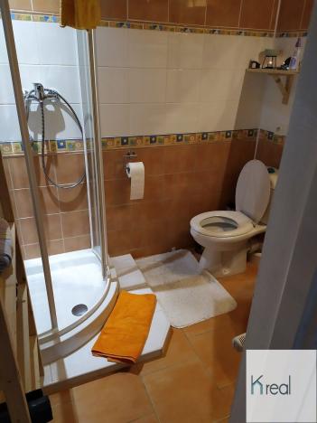 Prodej rodinného domu, Dolní Nivy, 221 m2