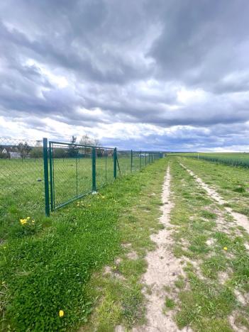 Pronájem zahrady, Chrudim, 700 m2