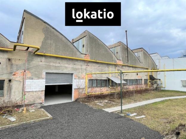 Pronájem skladu, Louny, Postoloprtská, 1650 m2