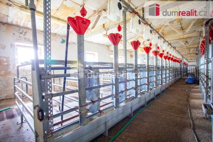 Prodej zemědělské půdy, Majdalena, 18720 m2