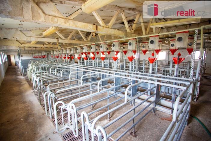 Prodej zemědělské půdy, Majdalena, 18720 m2