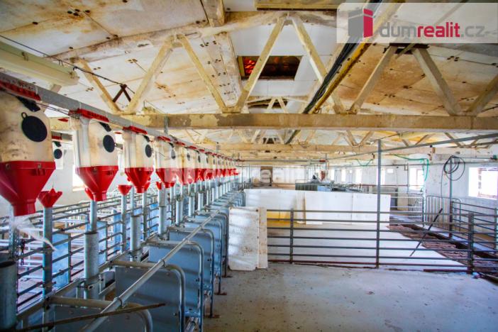 Prodej zemědělské půdy, Majdalena, 18720 m2