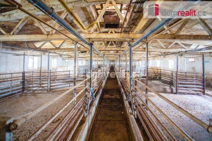 Prodej zemědělské půdy, Majdalena, 18720 m2