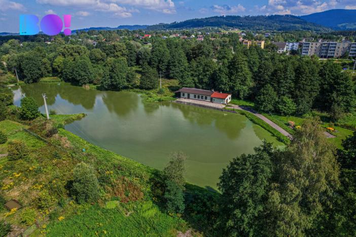 Prodej pozemku pro bydlení, Bystřice, 4896 m2