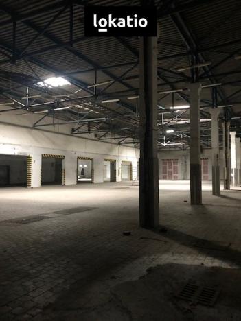 Pronájem skladu, Chomutov, 850 m2