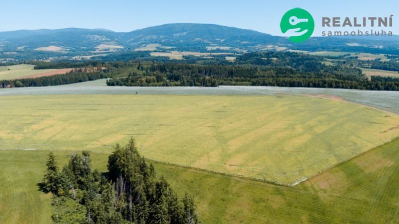 Prodej zemědělské půdy, Prosečné, 40000 m2