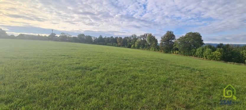 Prodej komerčního pozemku, Karlovy Vary, 3105 m2