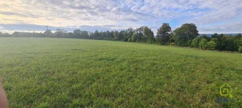 Prodej komerčního pozemku, Karlovy Vary, 3105 m2