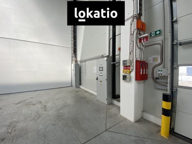 Pronájem skladu, Ostrava - Vítkovice, 5195 m2