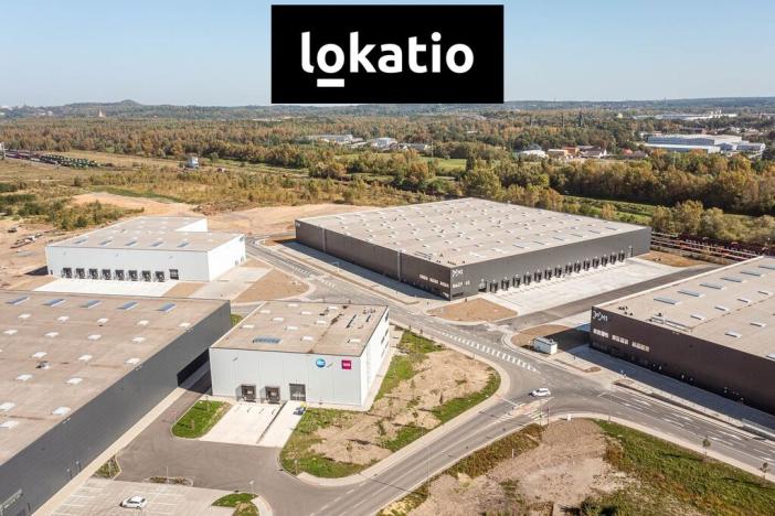 Pronájem skladu, Ostrava - Vítkovice, 5195 m2