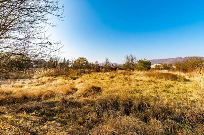 Prodej rodinného domu, Dobřichovice, Randova, 262 m2