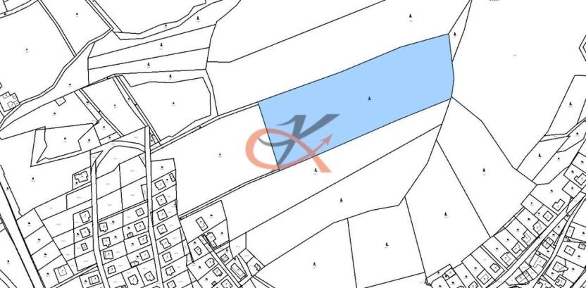 Prodej lesa, Dolní Bečva, 29219 m2