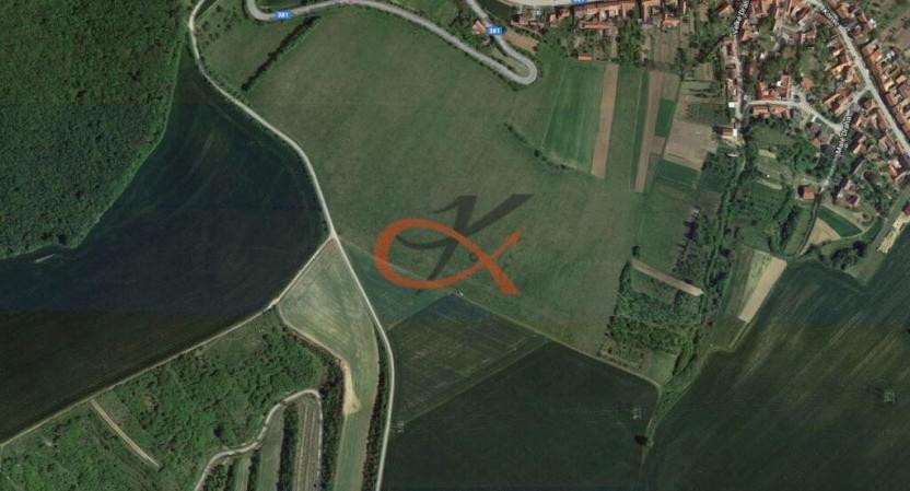 Prodej sadu/vinice, Dambořice, 1911 m2