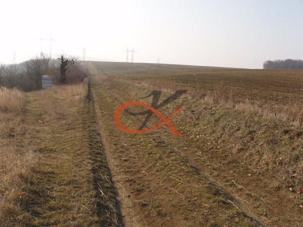 Prodej sadu/vinice, Dambořice, 1911 m2