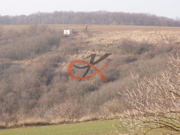 Prodej sadu/vinice, Dambořice, 1911 m2